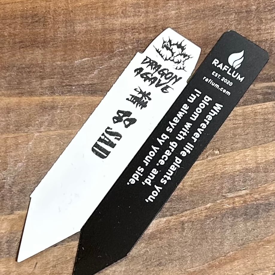 6994a2c991f26e95ea33d593