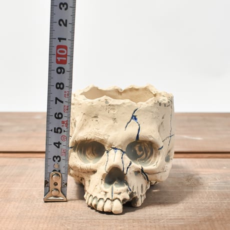 Matasuke Tatsumi（TEATOYA'S GALLERY）【Skull pot WHITE 】RFMT2409009
