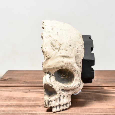 Matasuke Tatsumi（TEATOYA'S GALLERY）【Skull half face pot WHITE大】RFMT24012