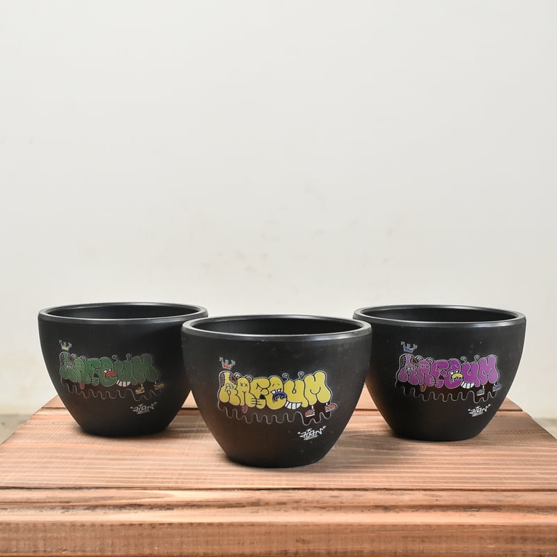 RAFLUM × ハイパーポットクリエイター 