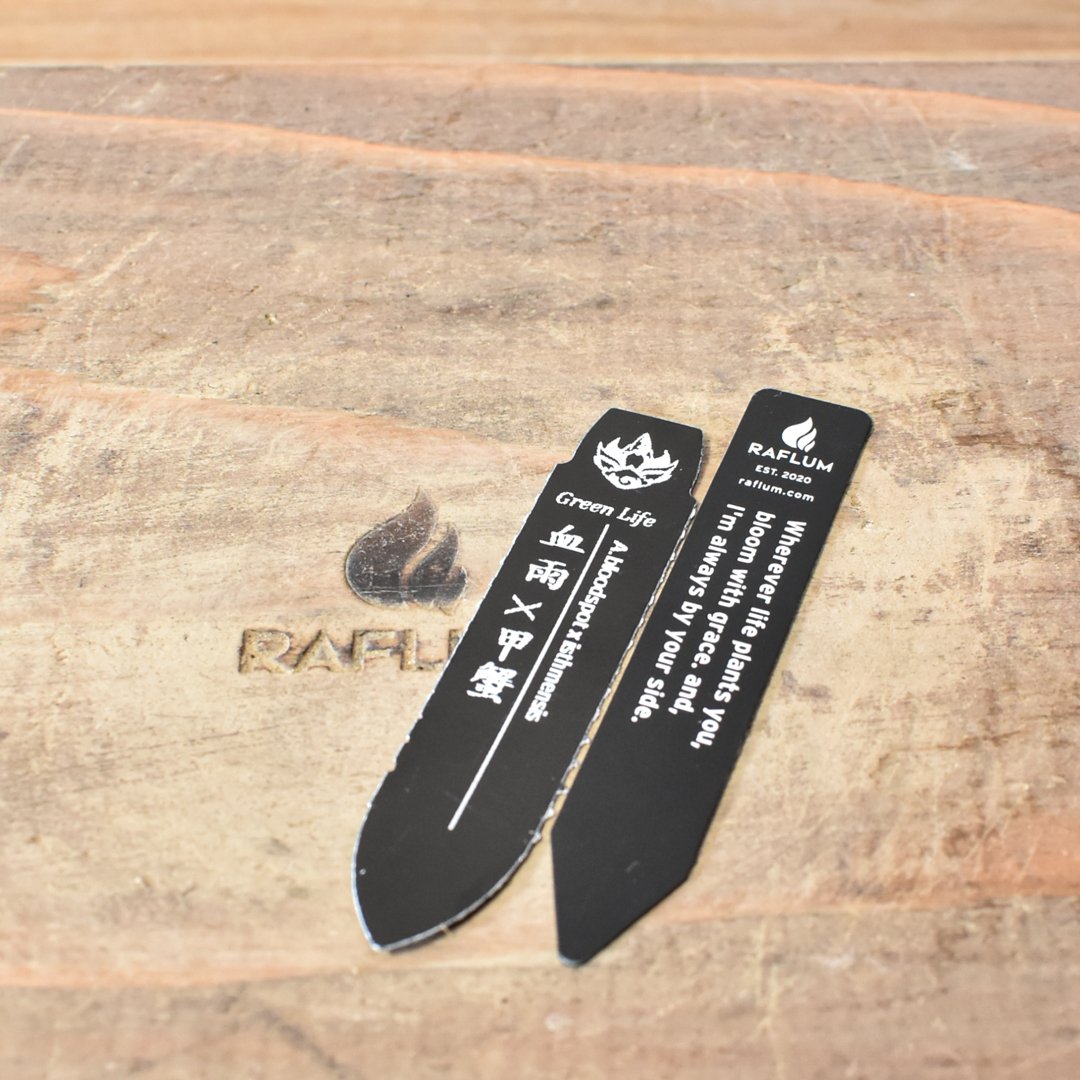 アガベ ハイブリット 