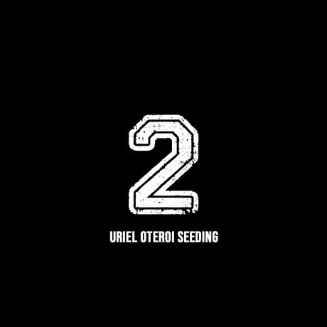 【RAFLUM育成株 5個セット】アガベ Uriel oteroi seeding / ウリエル実生  【RAFLUM産/実生/子株】E