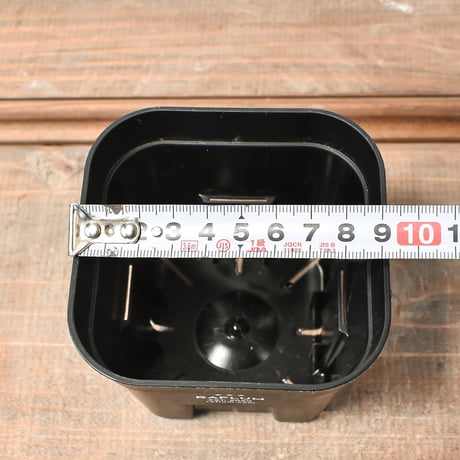 RAFLUM SLIT PLANTER サイズS/105  （3個セット）