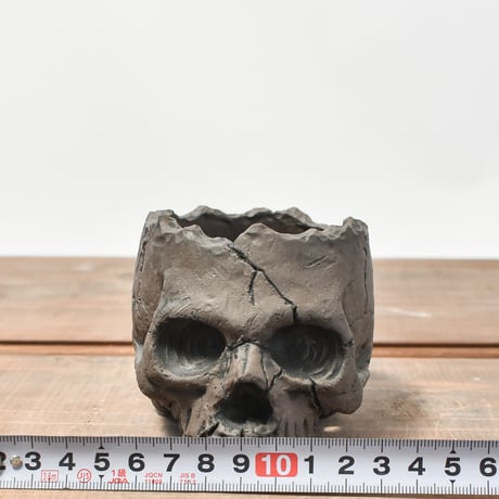 Matasuke Tatsumi（TEATOYA'S GALLERY）【Skull pot BLACK 】RFMT2409002