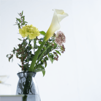 【隔週】お花の定期便（ポスト投函）