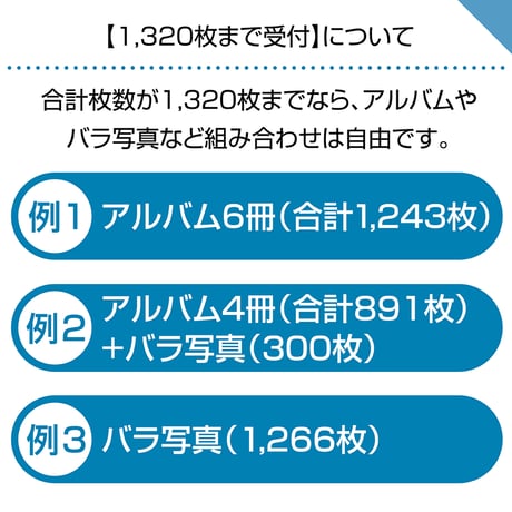 ハイブリッドタイプ　60ページ(ハーフコース プリント写真)
