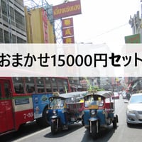 おまかせ豪華15000円セット（冷凍）