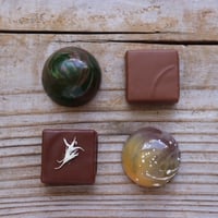 セレクション4