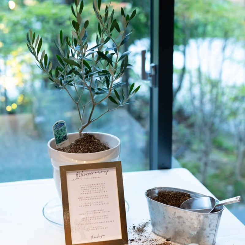 ウエディング オリーブセレモニーセット | MAEDA OLIVE FARM