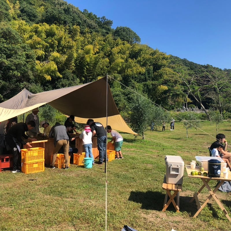 オリーブの樹のオーナーになる | MAEDA OLIVE FARM