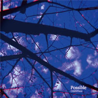 2nd Mini Album「Possible」