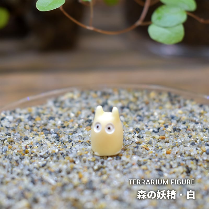 ピーナッツの妖精　ミニチュアテラリウム ピーナッツの妖精 ミニチュアテラリウム ピーナッツの妖精 ミニチュア