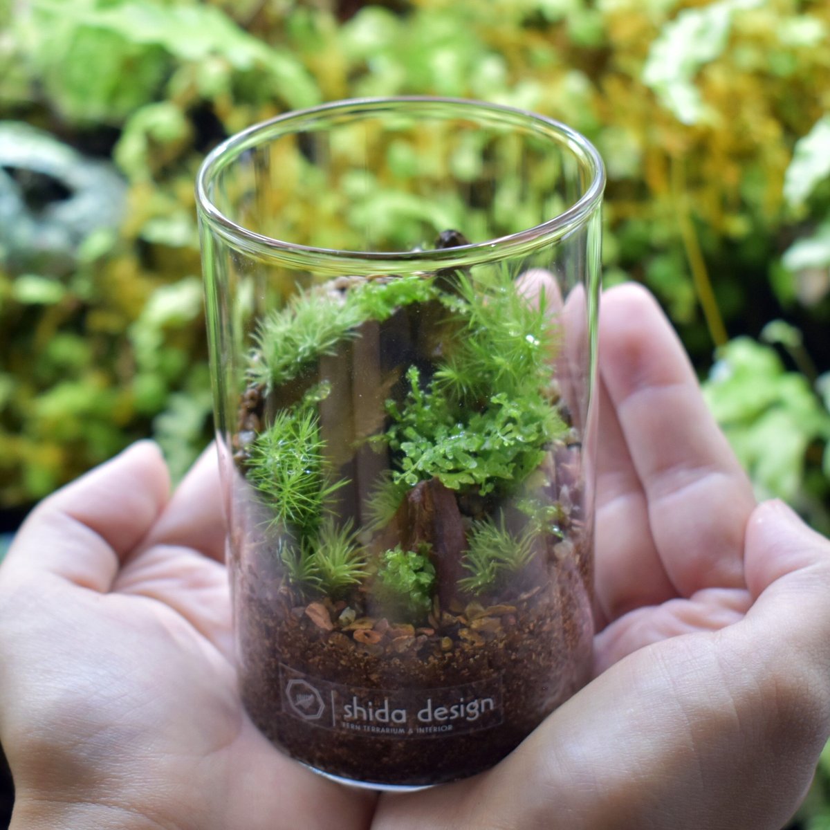 IWATA 岩田ガラス　ガラス　容器　ケース　蓋付 IWATA 岩田ガラス ガラス 容器 ケース 蓋付