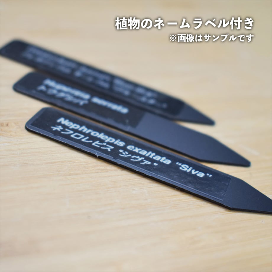 65ae3729c60d69003b727d57