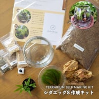 【キット】シダエッグS作成キット（シダ1種+苔2種）｜シダのテラリウム
