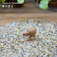 【フィギュア】キーウィ｜固定ピン付き｜テラリウム用