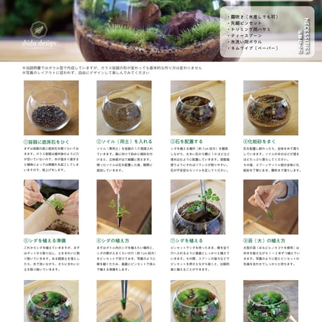 【キット】シダボウルM作成キット（シダ2種+苔3種）｜シダのテラリウム