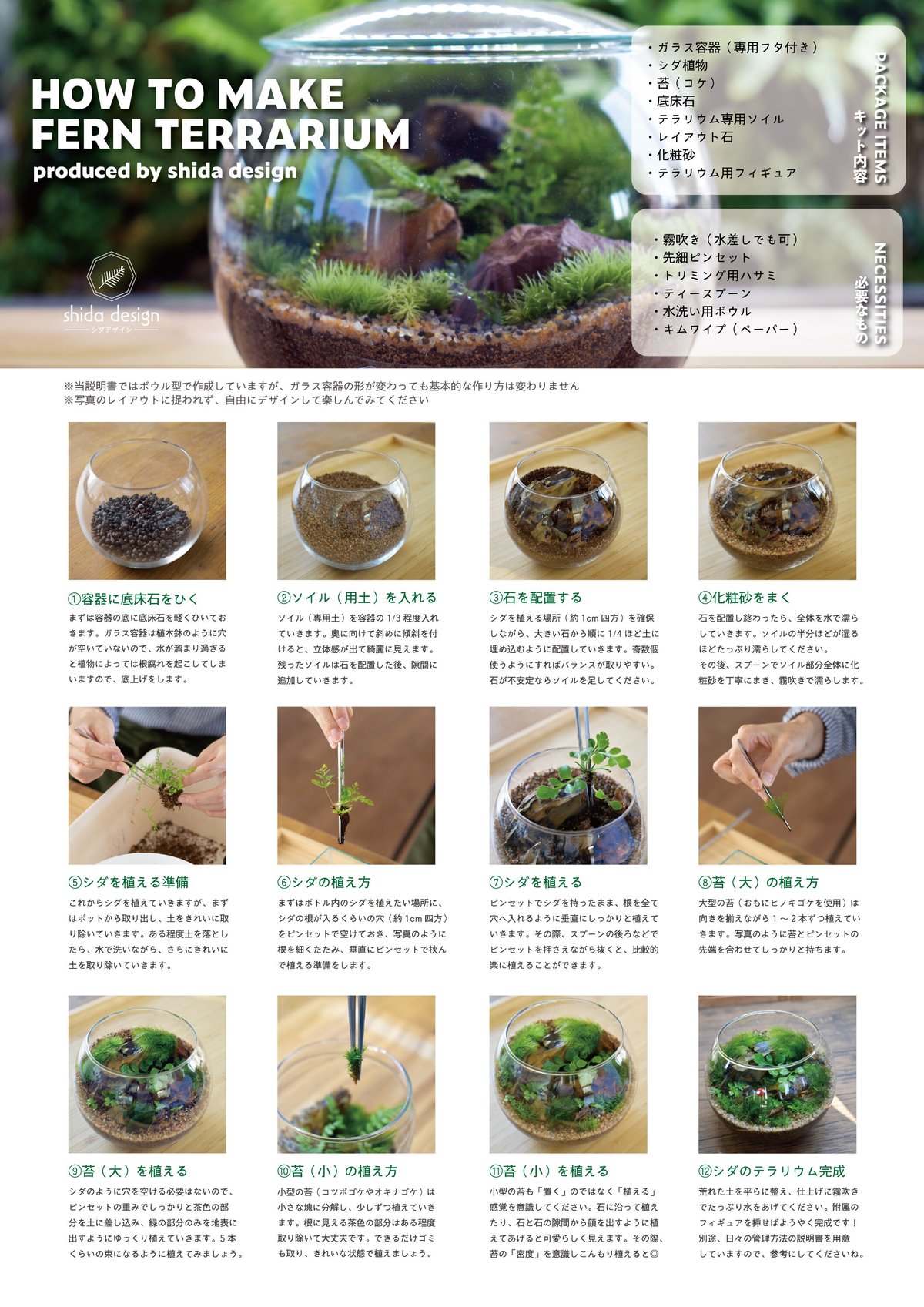 キット】シダボウルM作成キット（シダ1種+苔3種）｜シダと苔の