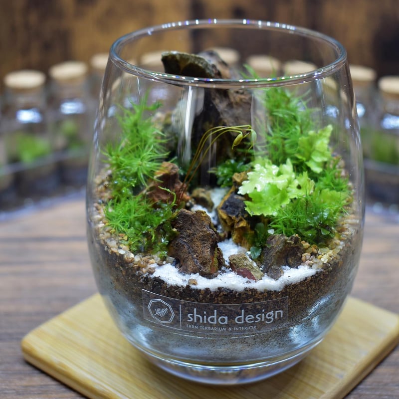 ★送無！新品！「アブラカダブラ」+「ガラスの植物園」 ☆送無！新品！「アブラカダブラ」+「ガラスの植物園」 ☆送無！新品