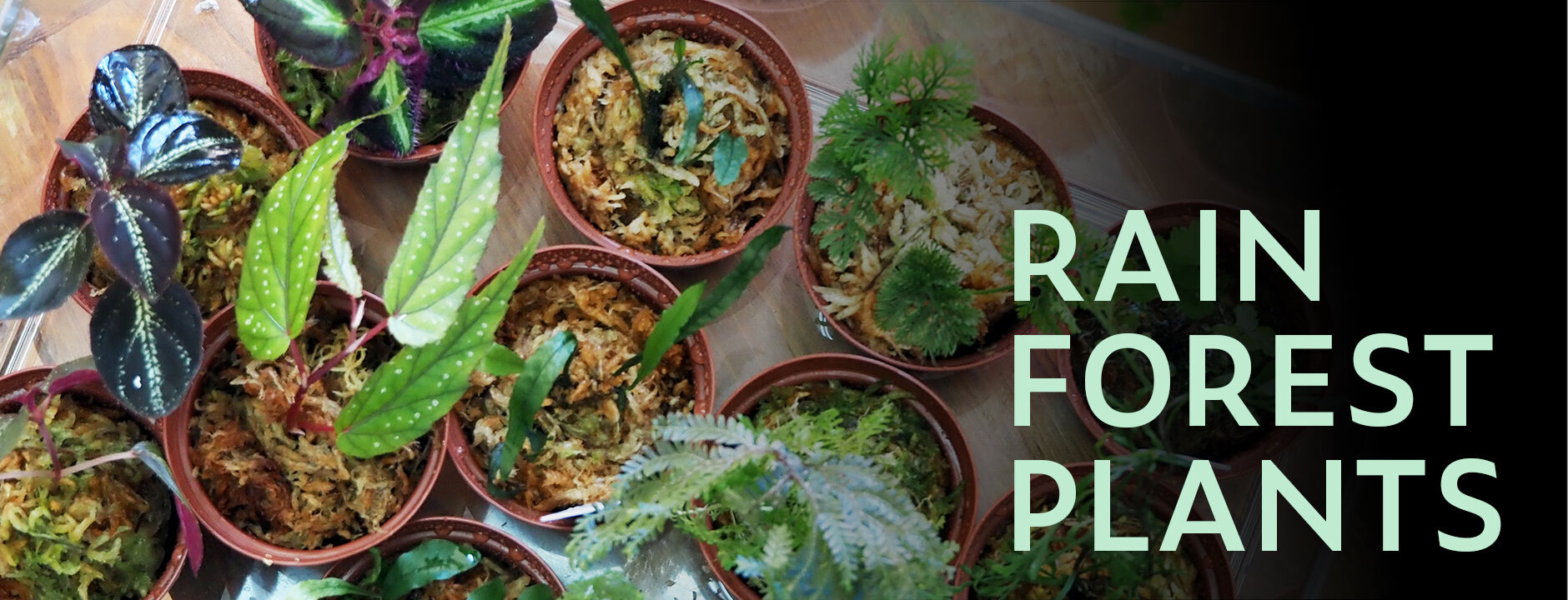 shida design ONLINE STORE