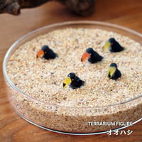 【フィギュア】オオハシ｜イエロー or オレンジ｜固定ピン付き