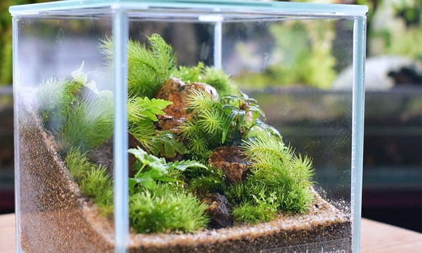 shida design ONLINE STORE