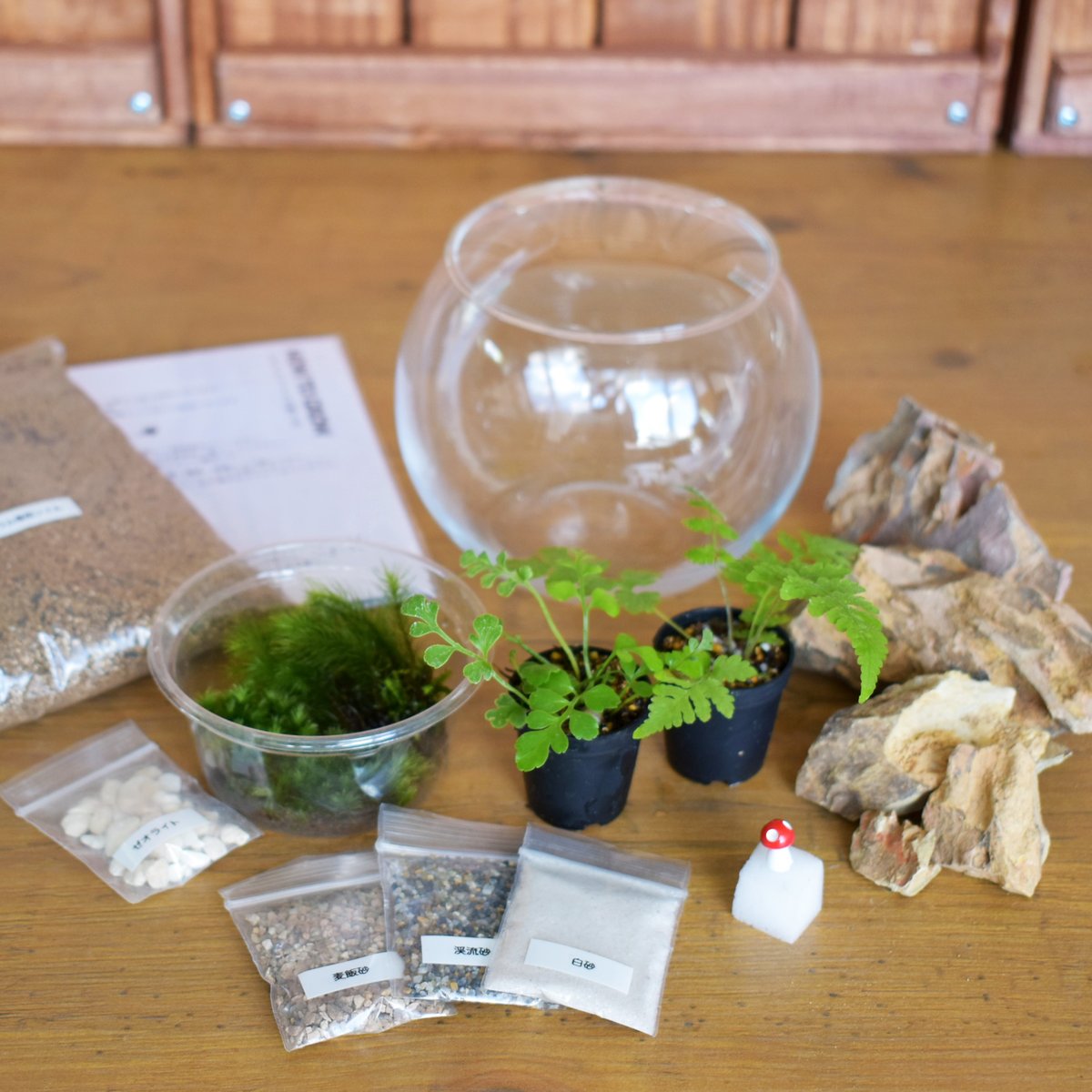 手作りプレート「シダ」 手作りプレート「シダ」