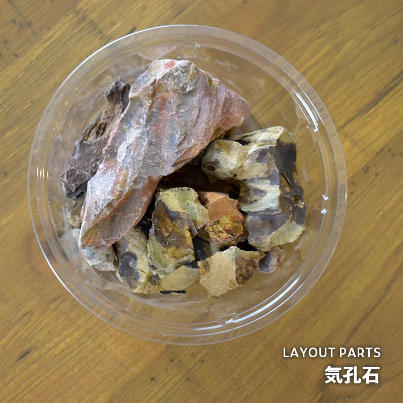 素材】気孔石｜3～10cmサイズ｜12cmパック | shida design ONLINE