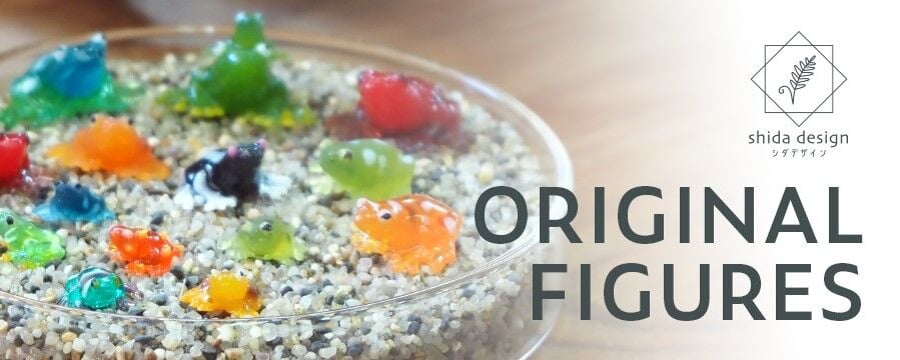 ⭐︎リアル　シダなど Amazon.co.jp: BubbleBlooms シダバラエティ詰め合わせ 6種類のシダ 2