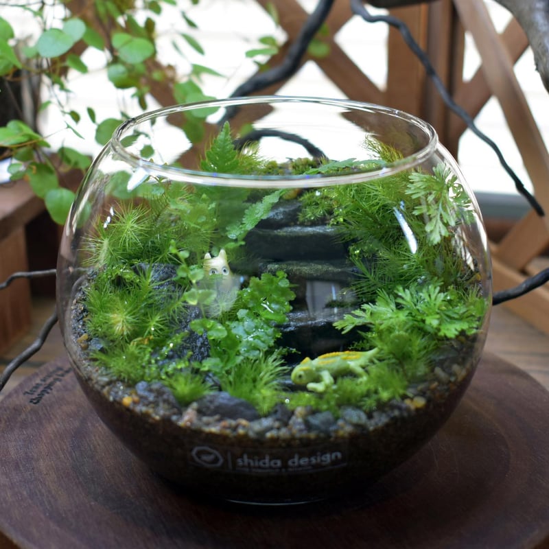 素材】輝板石｜3～9cmサイズ｜12cmパック | shida design ONLINE