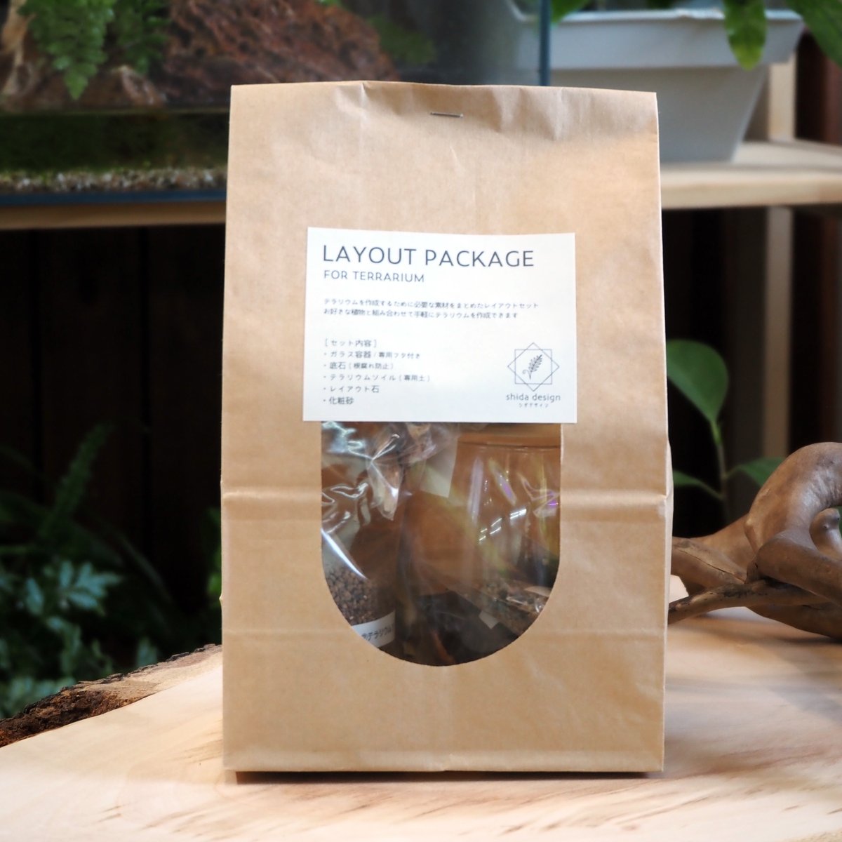 プーの助 手作りガラス温室風テラリウムケース 楽天市場】【テラリウム ガラス ケース ボックス フェイク