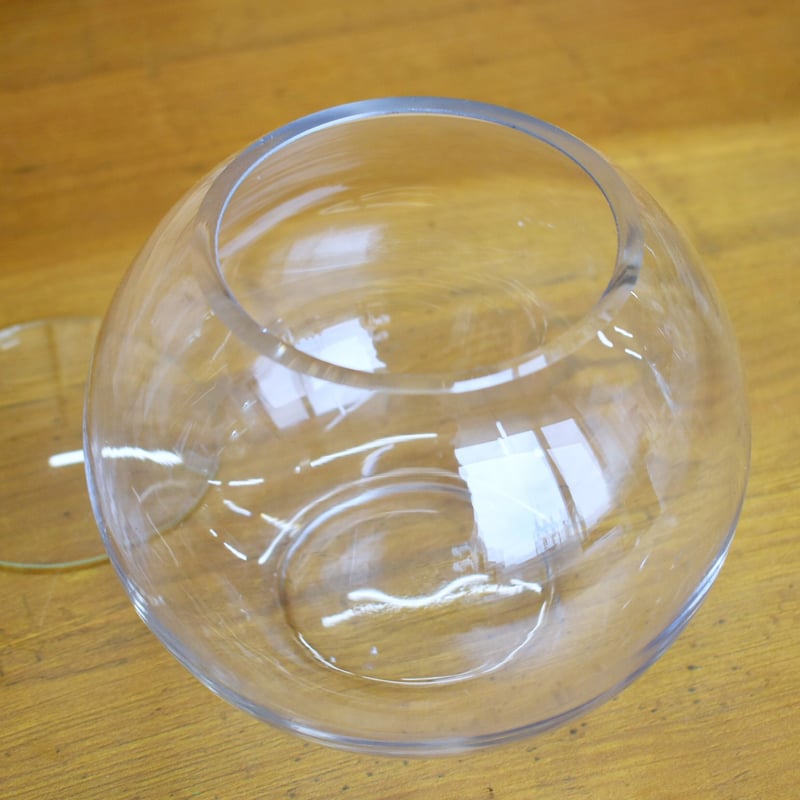 ガラス容器】ガラスボウルL｜W150mm×H120mm｜専用ガラスフタ付き