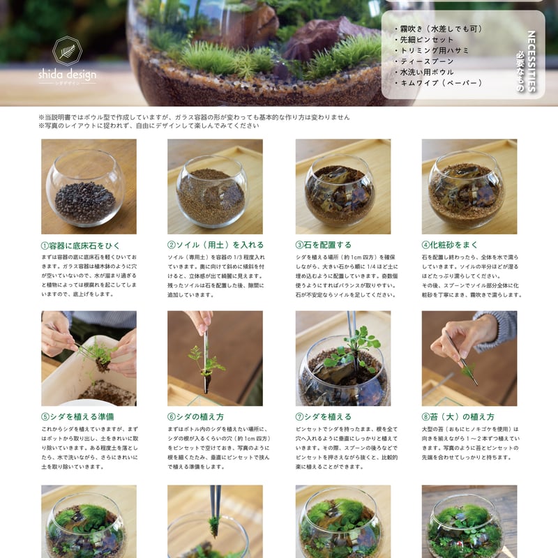 キット】シダエッグS作成キット｜シダ1種＋苔3種｜シダと苔の