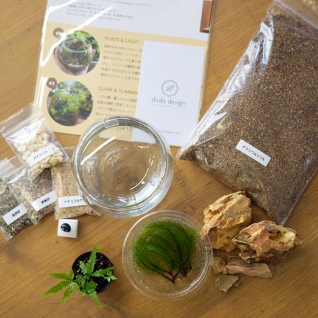 【キット】シダエッグS作成キット｜シダ1種＋苔3種｜シダと苔のテラリウム