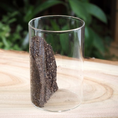 【専用土】shida design クリエイティブソイル｜800ml｜テラリウム用