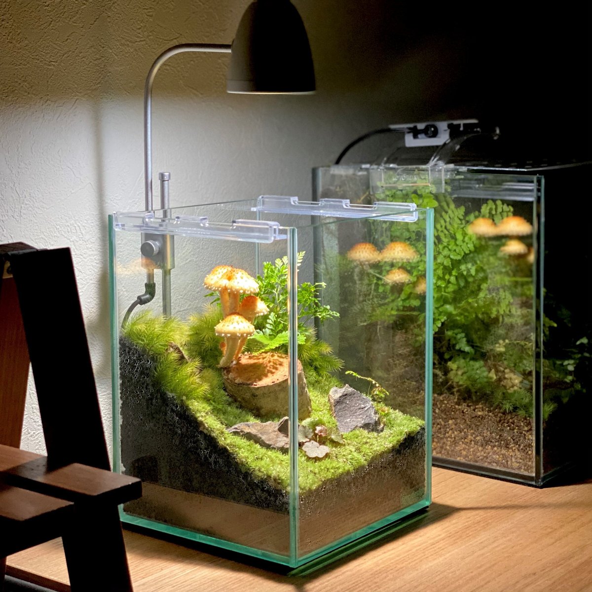 ライト】植物のための”そだつライト”｜シルバー | shida design ONLINE