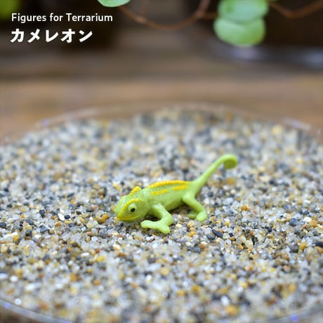 【フィギュア】カメレオン｜固定ピン付き｜テラリウム用 | sh…