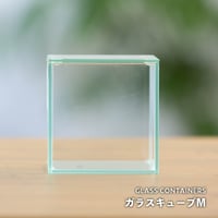【ガラス容器】ガラスキューブM｜W100mm×H100mm｜専用ガラスフタ付き