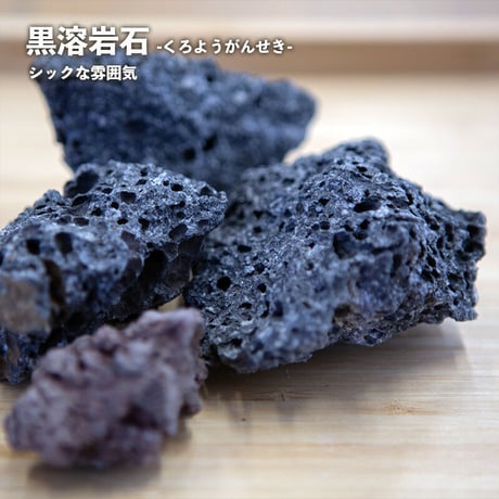【キット】レイアウトボックス｜ガラスボウルS｜素材のみ・植物なし