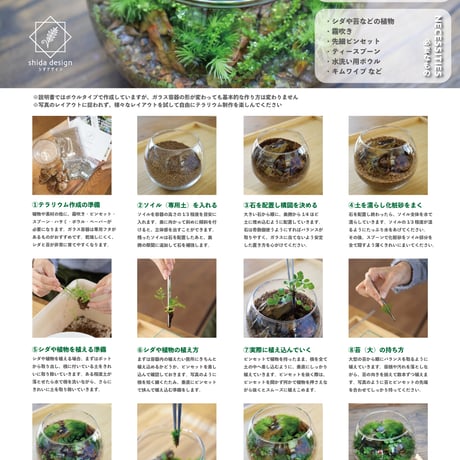 【キット】レイアウトボックス｜ガラスボウルS｜素材のみ・植物なし
