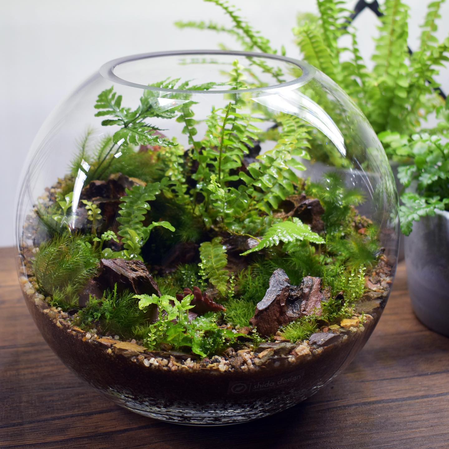 素材】気孔石｜3～10cmサイズ｜12cmパック | shida design ONLINE