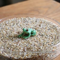 【フィギュア】カエル｜固定ピン付き｜テラリウム用