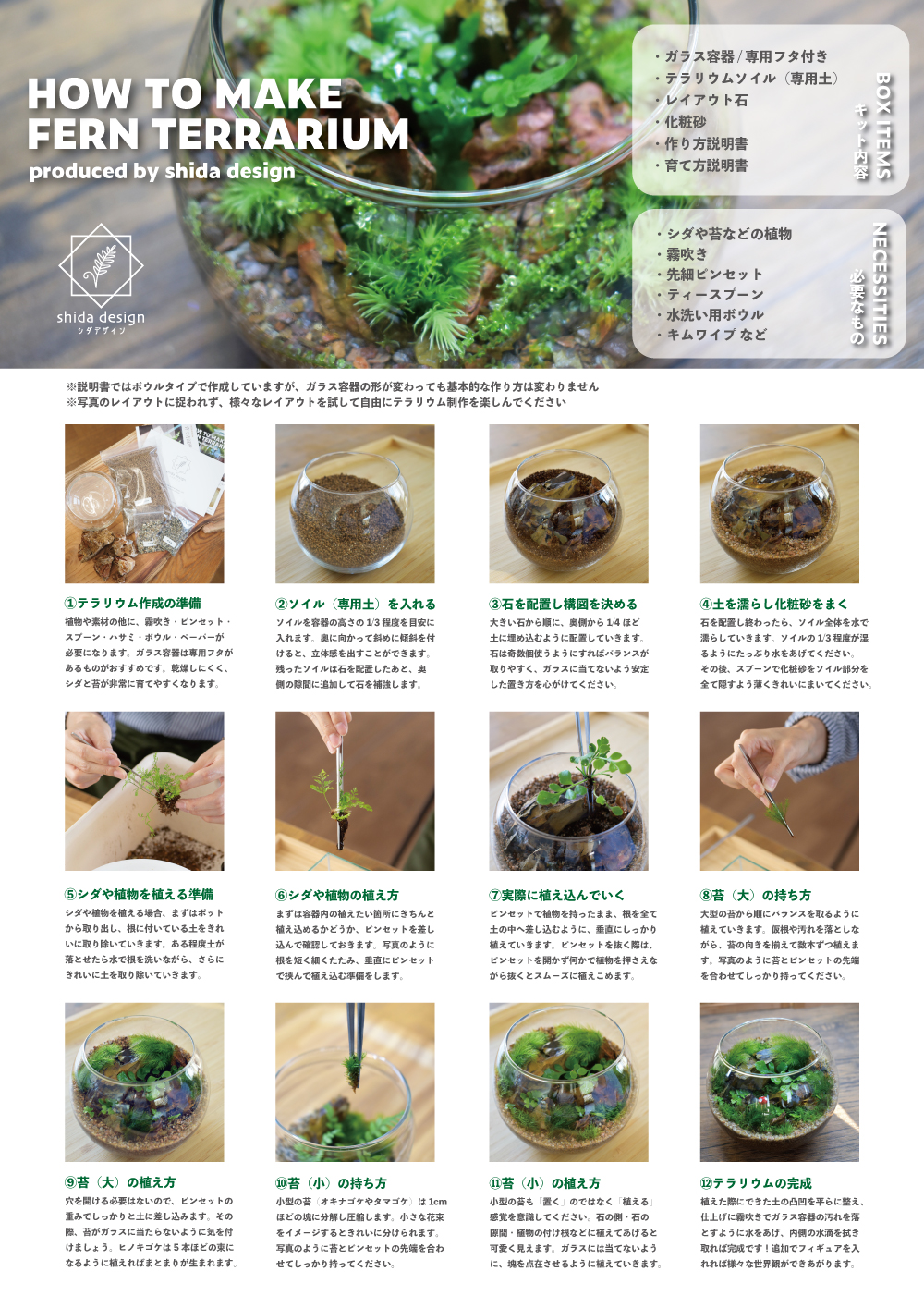 キット】シダエッグS作成キット｜シダ1種＋苔3種｜シダと苔の