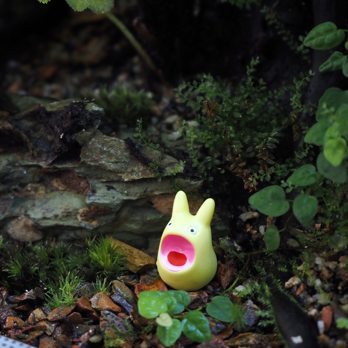 ピーナッツの妖精　ミニチュアテラリウム Amazon | FOMIYES 花の妖精ピクシー 5個 フライウィング