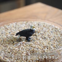 【フィギュア】ハクトウワシ｜固定ピン付き｜テラリウム用