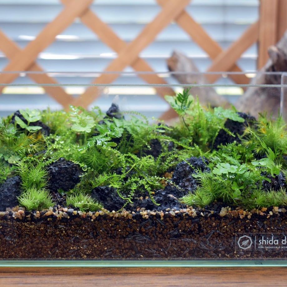 64a3ea04aed89f002a627b27