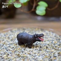 【フィギュア】カバ｜固定ピン付き｜テラリウム用