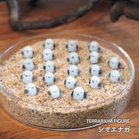 【フィギュア】シマエナガ｜固定ピン付き