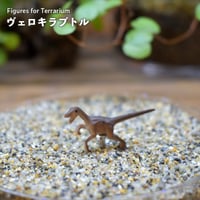 【フィギュア】ヴェロキラプトル｜固定ピン付き｜テラリウム用