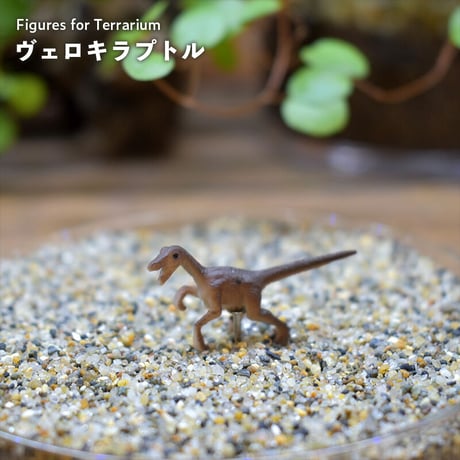 【フィギュア】ヴェロキラプトル｜固定ピン付き｜テラリウム用